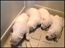 pict0008