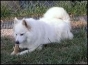 pict0028