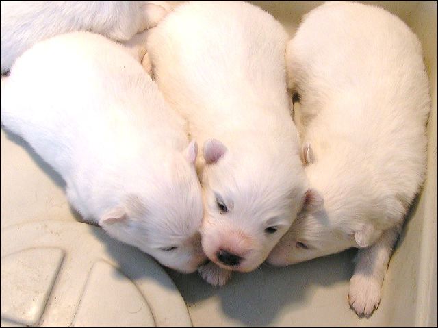 pict0001.jpg