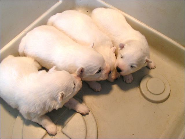 pict0003.jpg