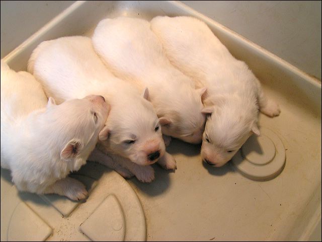pict0004.jpg