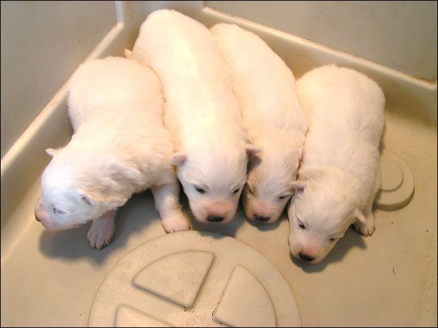 pict0005.jpg