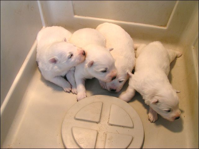 pict0009.jpg