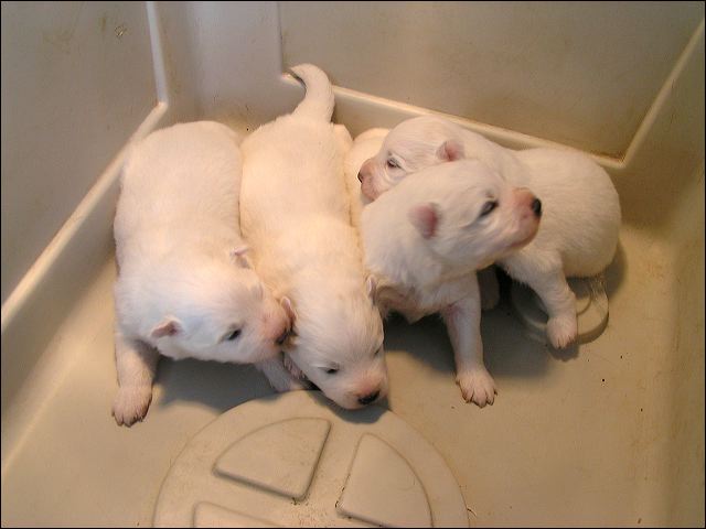 pict0011.jpg