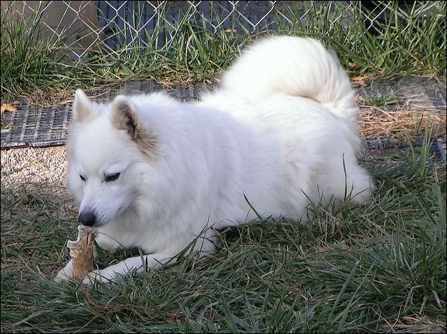 pict0028.jpg
