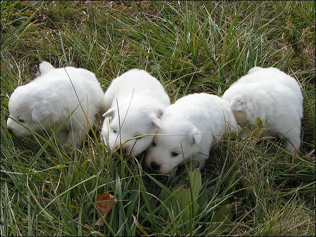 pict0002.jpg