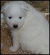 PICT0021.JPG 