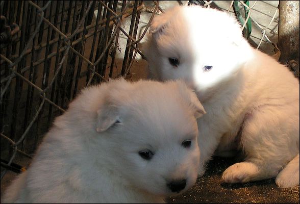 pict0001.jpg