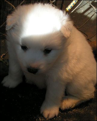 pict0004.jpg