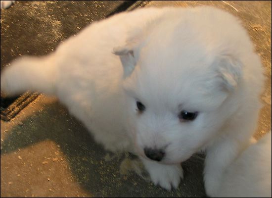 pict0005.jpg