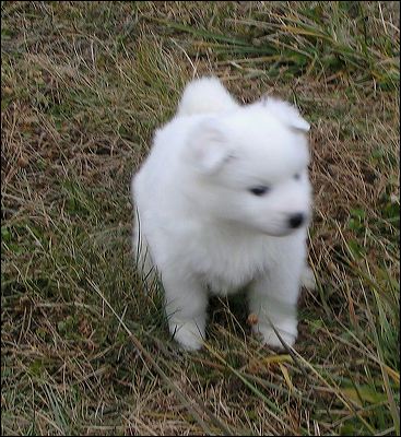 boy_6.jpg