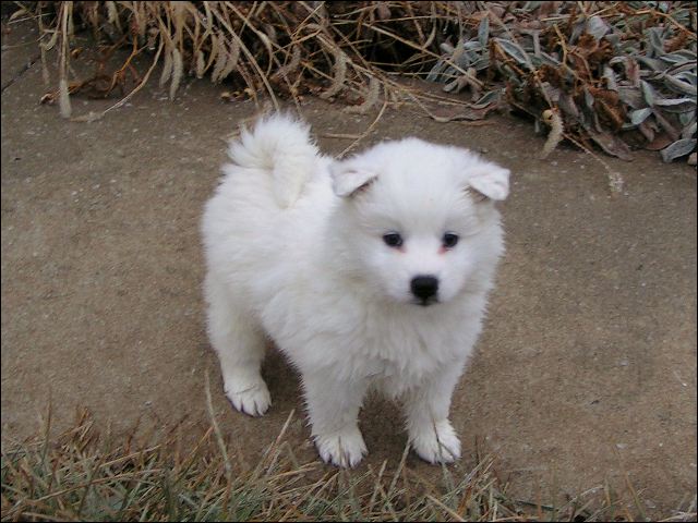 boy-5.jpg