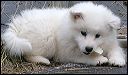 pict0147