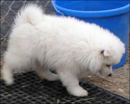 pict0153.jpg
