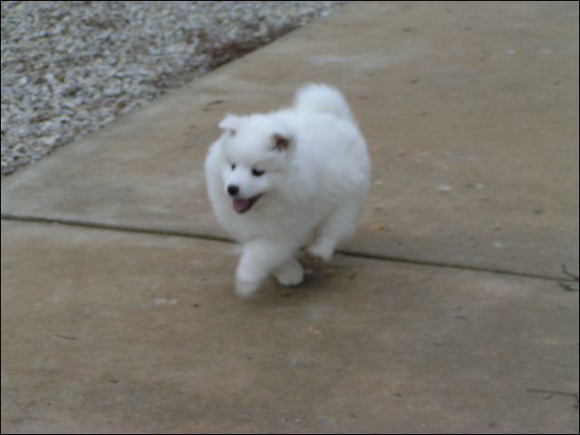 boy-6.jpg