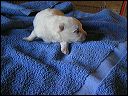 pict0023