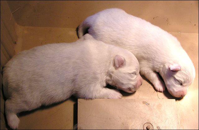 pict0014.jpg