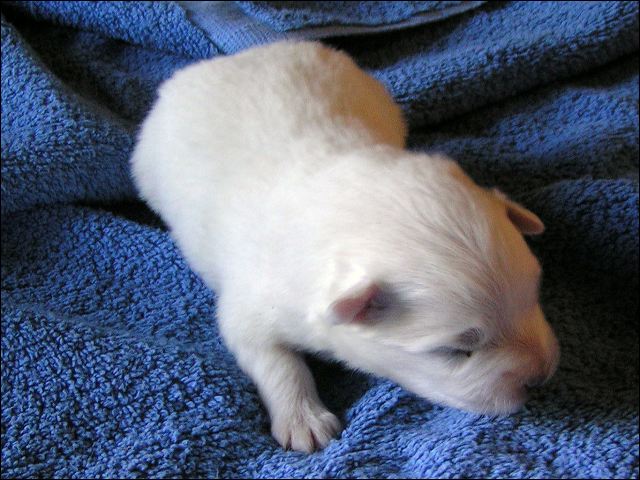 pict0017.jpg