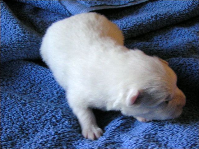 pict0018.jpg