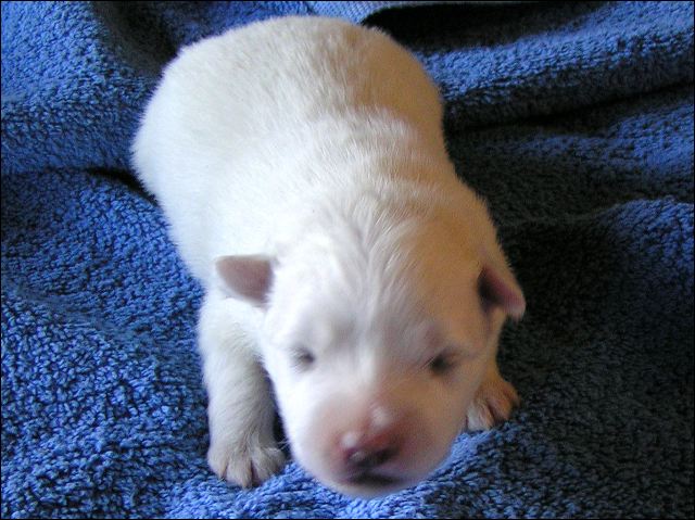 pict0019.jpg