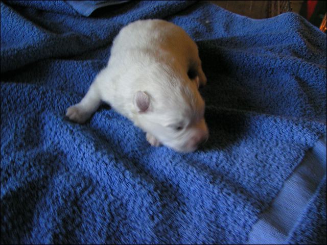 pict0021.jpg