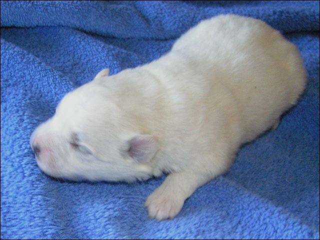 pict0022.jpg