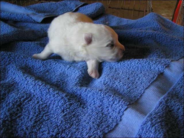 pict0023.jpg