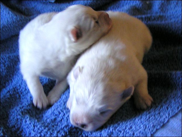 pict0024.jpg