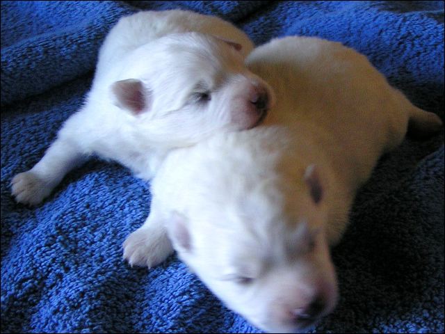 pict0026.jpg