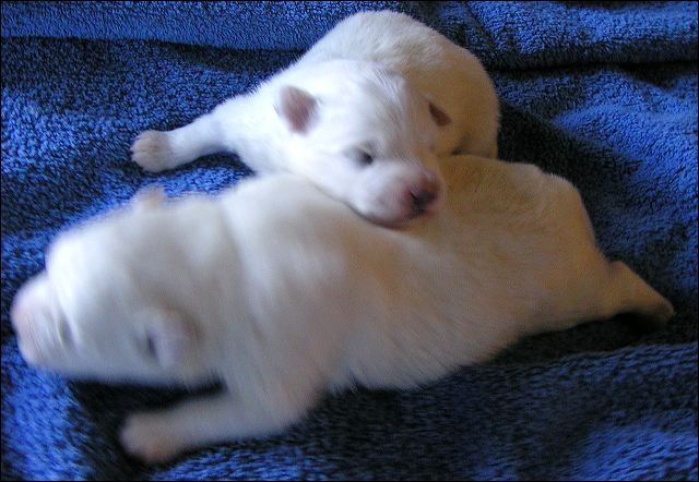 pict0027.jpg