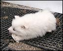 pict0003