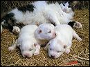 pict0008