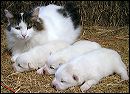 pict0017