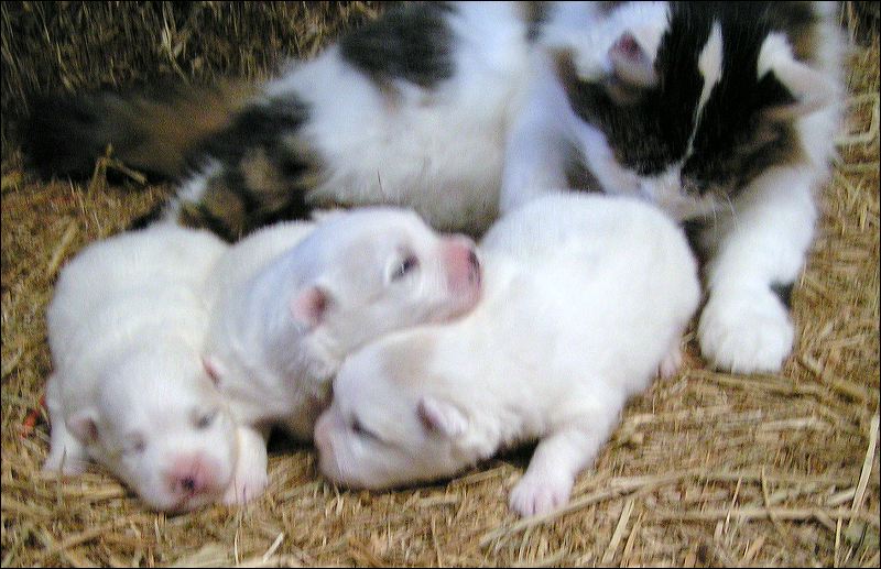 pict0001.jpg