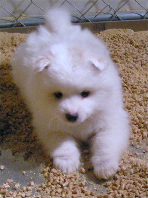 pict0007.jpg