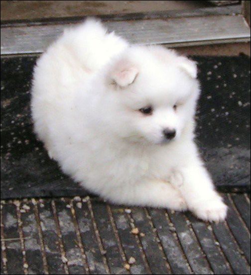 pict0009.jpg
