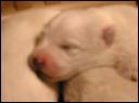 pict0034