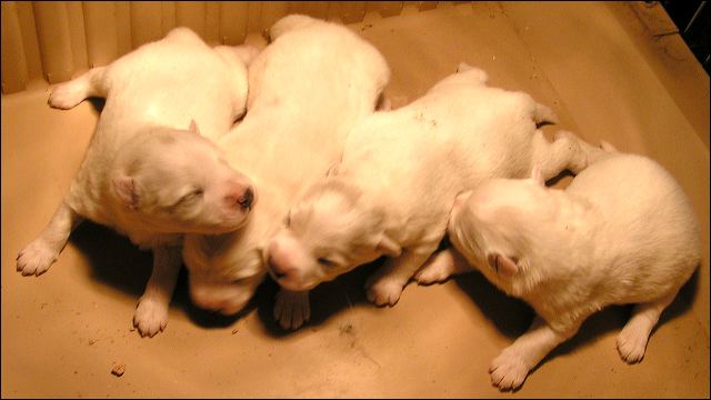 pict0029.jpg
