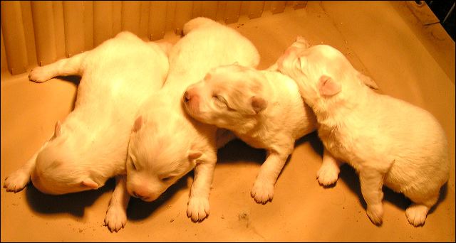 pict0030.jpg