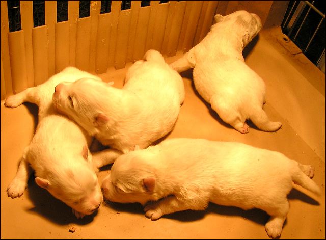 pict0032.jpg