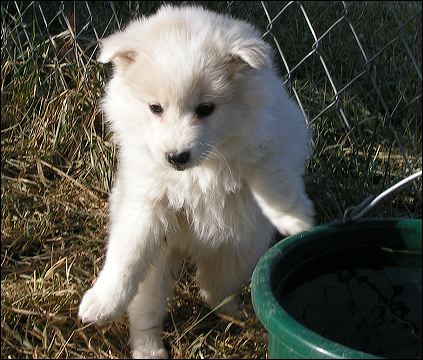 boy-6.jpg