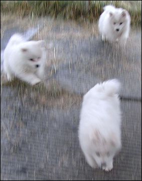 pict0083.jpg