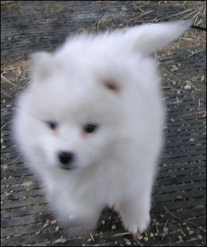 pict0089.jpg