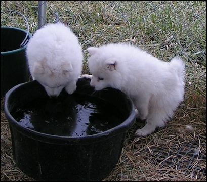 pict0100.jpg