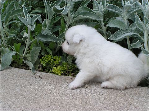 nh-4wks4.jpg