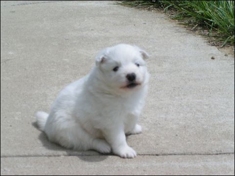 nh_4wks7.jpg