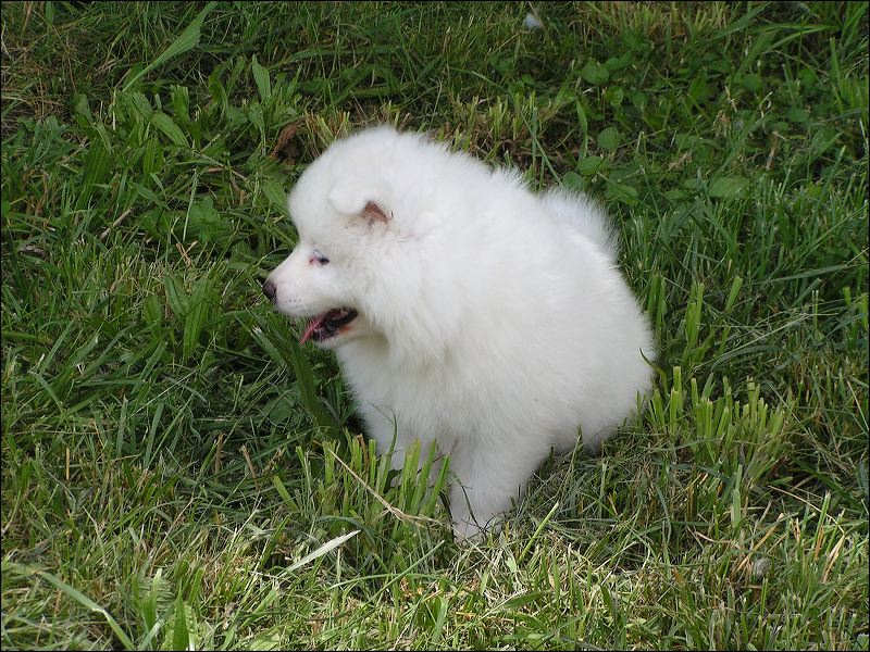 boy-6wks.jpg