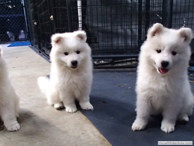 girl2-girl1-boy