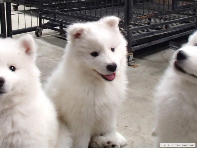 girl2-girl1-boy1