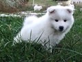 boy-2